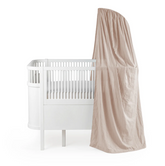 Sky Canopy, Birchbark rose