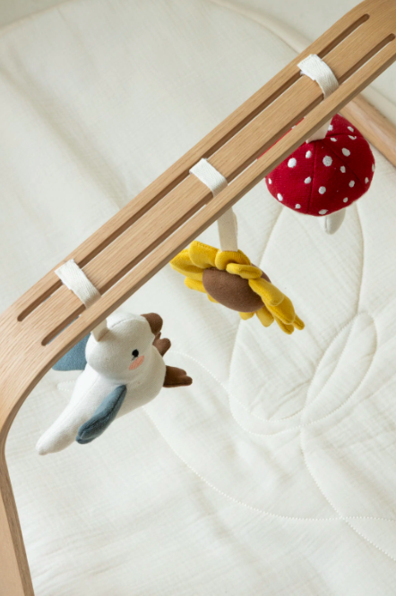 3-pack toys for activity gym, garden collection