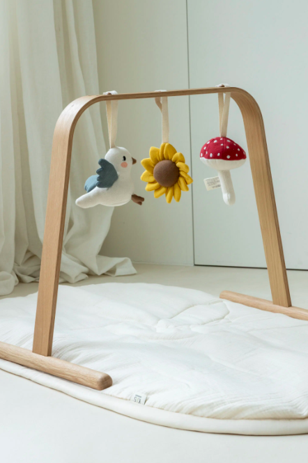 3-pack toys for activity gym, garden collection