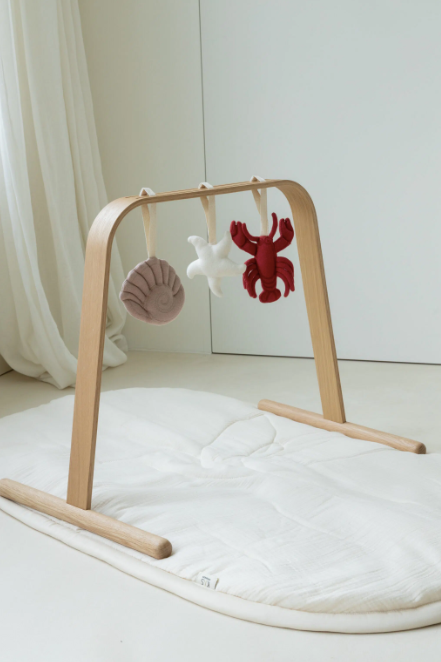 3-pack toys for activity gym, sea collection