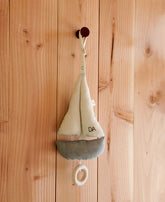 Mobile Pondus, Sailboats