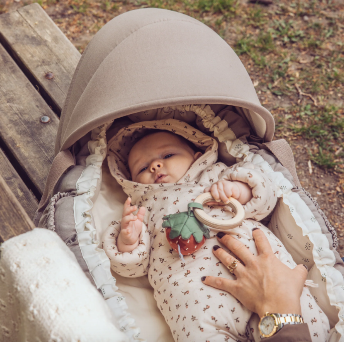 Sebra 3-in-1 Baby Nest, Sophora Leaves