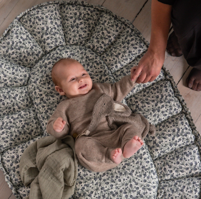 Sebra 3-in-1 Baby Nest, Blue Olive