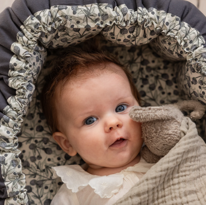 Sebra 3-in-1 Baby Nest, Blue Olive