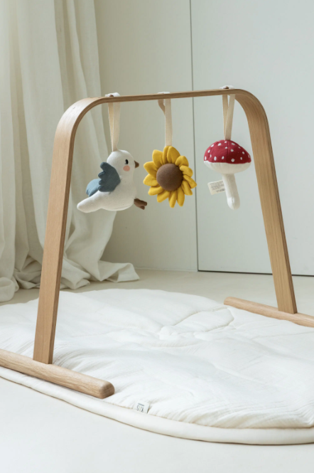 3-pack toys for activity gym, garden collection